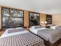 Zimmerbild 6