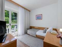 Zimmerbild 36