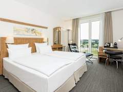 Zimmerbild 10