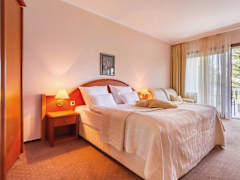 Zimmerbild 8