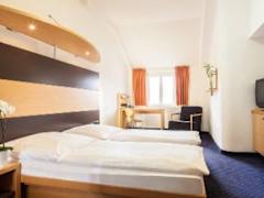 Zimmerbild 8