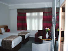 Zimmerbild 41