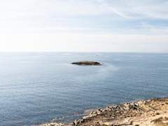 Zimmerbild 42