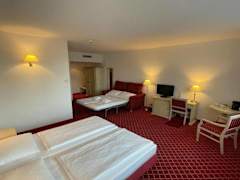 Zimmerbild 12