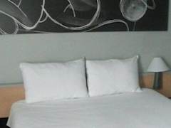 Zimmerbild 6