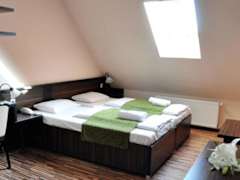 Zimmerbild 22