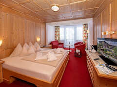 Zimmerbild 5