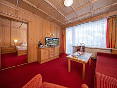 Zimmerbild 8