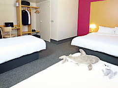 Zimmerbild 5