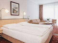 Zimmerbild 10