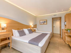 Zimmerbild 6