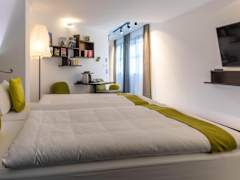 Zimmerbild 13