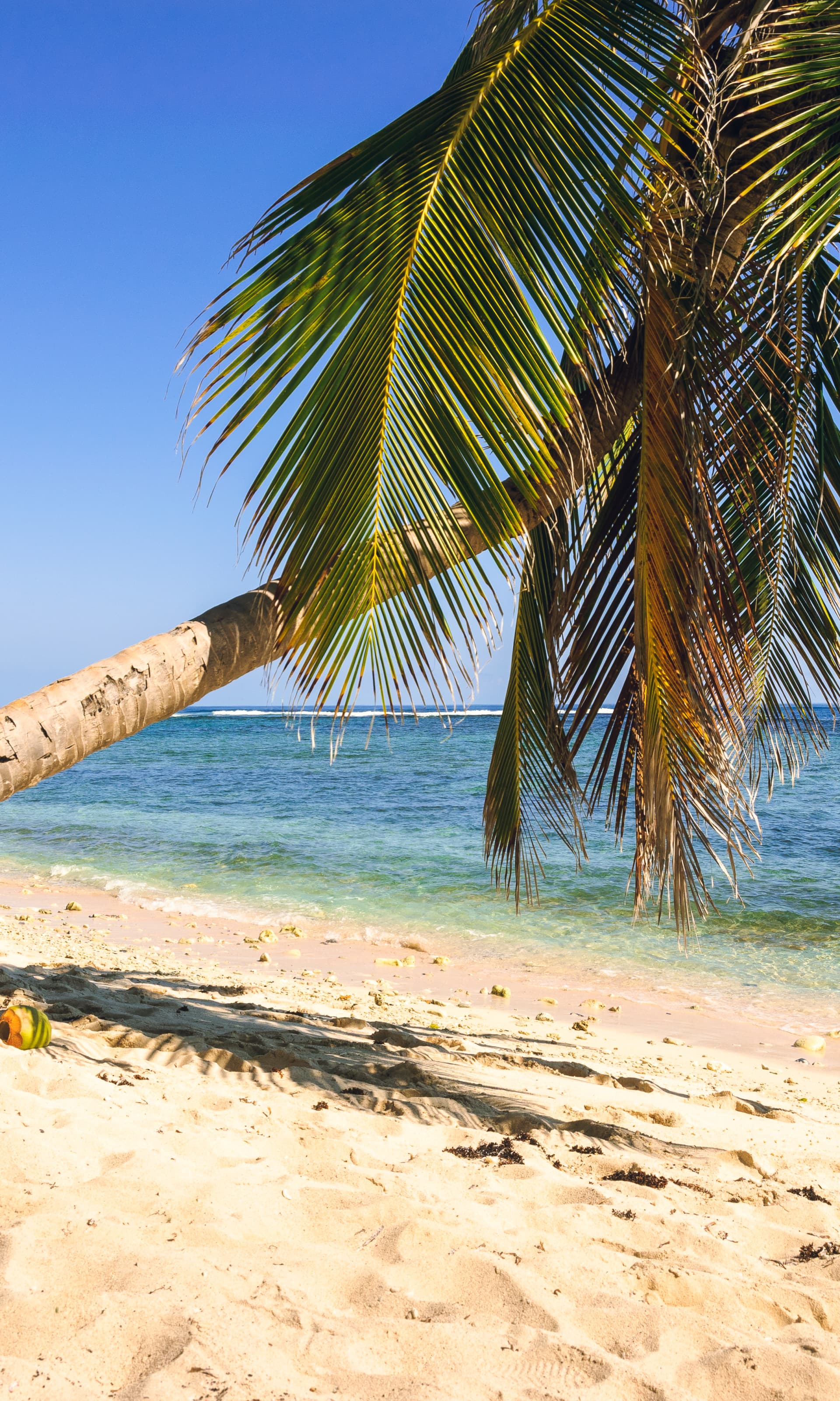 Voyage République dominicaine, Partir en vacances en République dominicaine