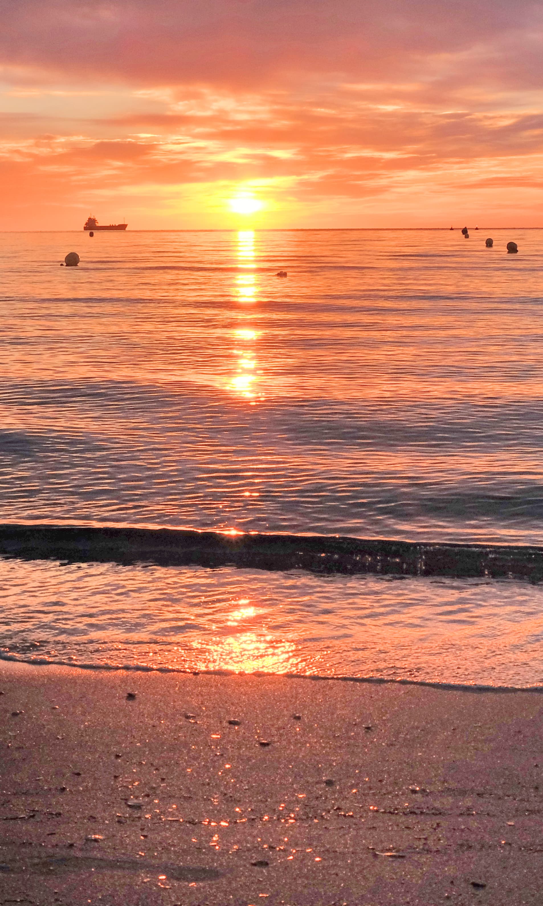  Mallorca Urlaub 2024/2025 buchen - Pauschalreisen & Last Minute 