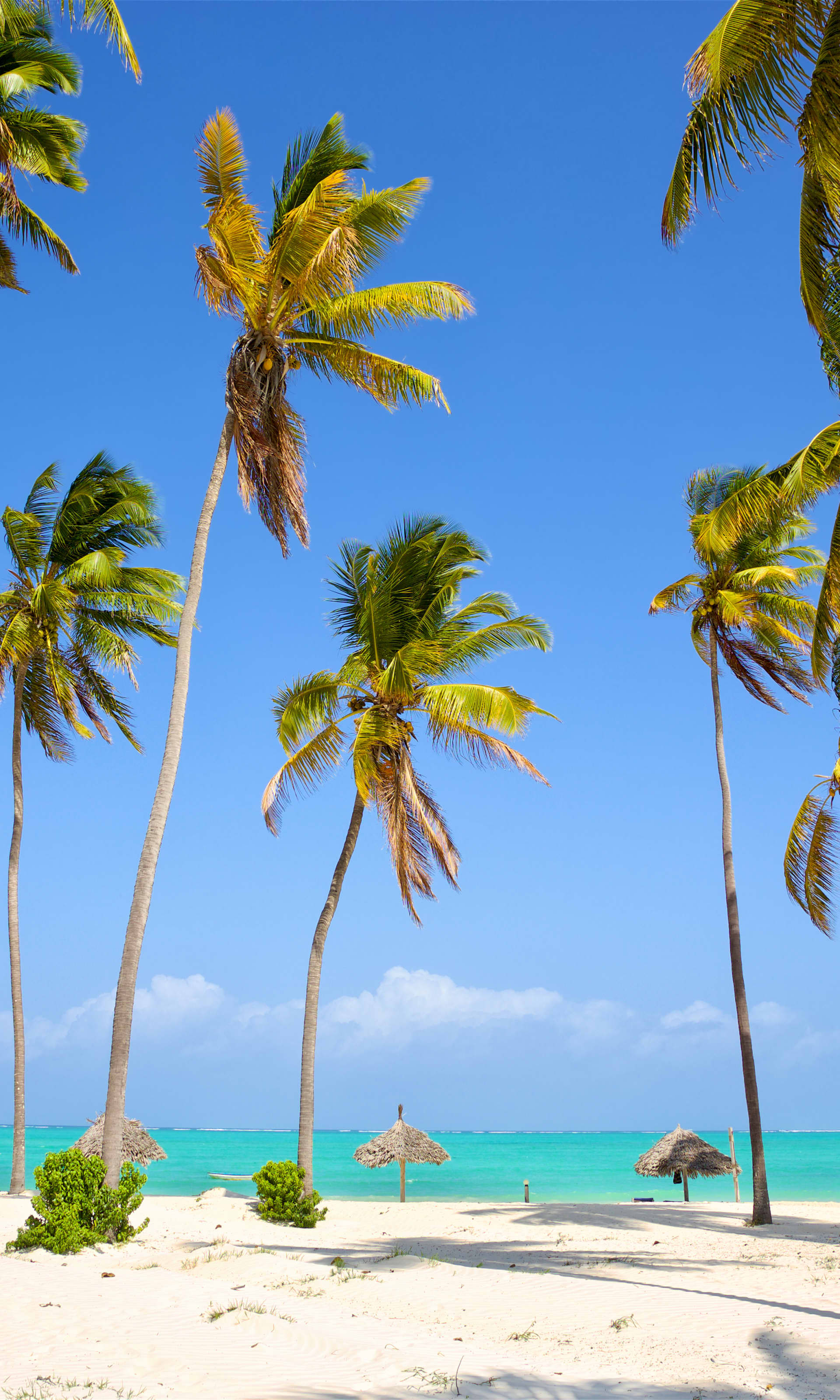 Die besten Reiseziele im August wohin im August Urlaub? weg.de