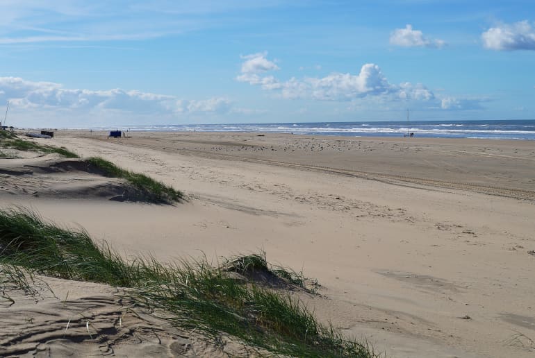 Die schönsten Hundestrände in Niederlande weg.de Reisemagazin