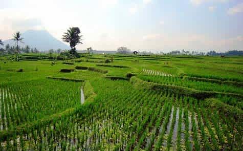 Die besten Reise Tipps von Insidern - Java Indonesien | weg.de