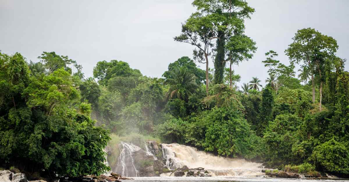 Manchester - Douala Manchester - Douala