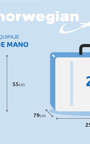 Maleta facturada de 10kg de Ryanair 1 trayecto (Sólo ida o vuelta)