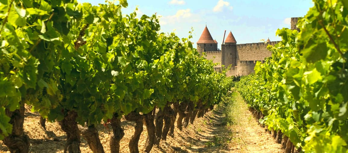 Carte des vins de France - géographie du vignoble - La Feuille de Vigne