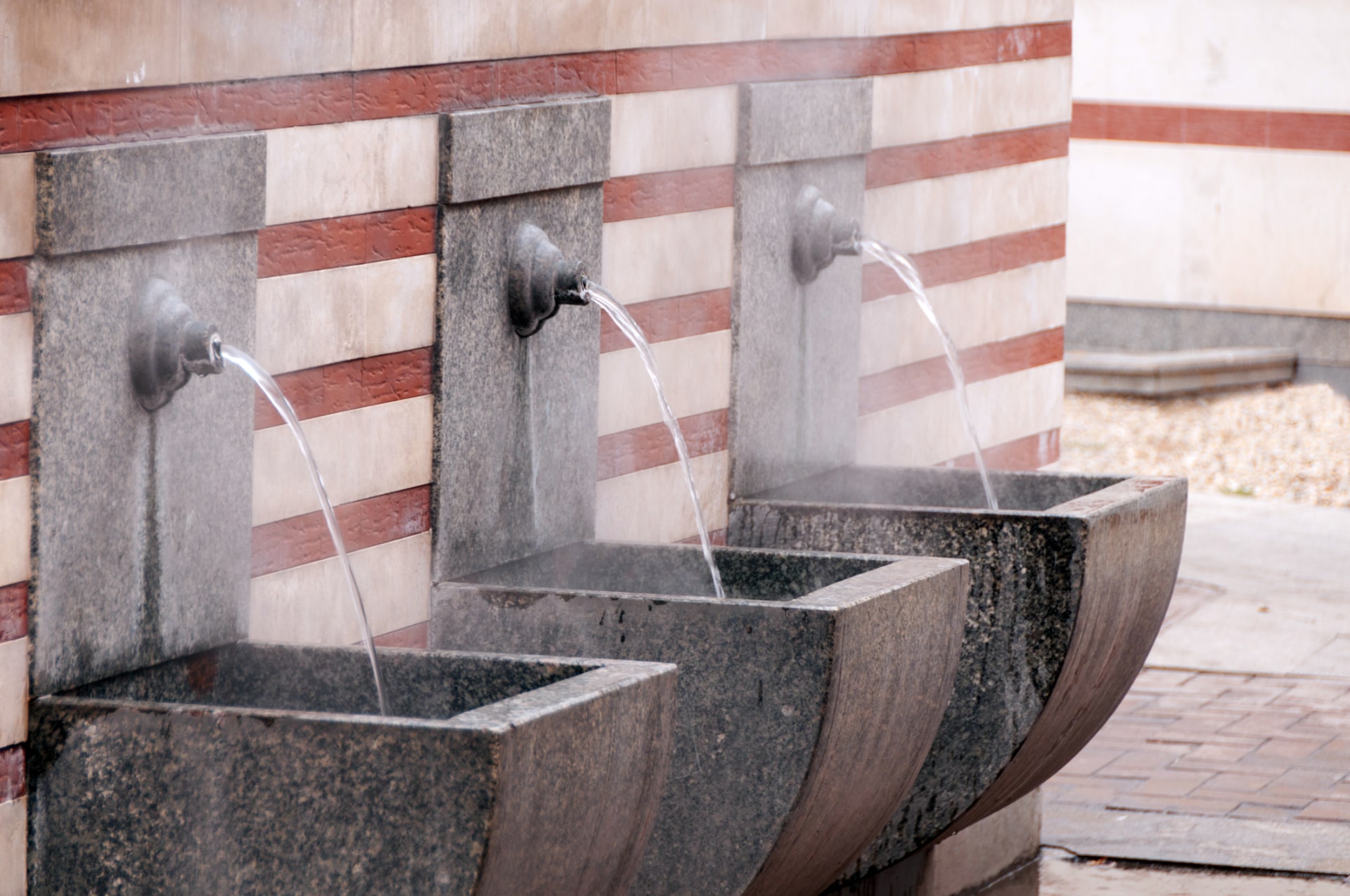 furry dating sites reddit