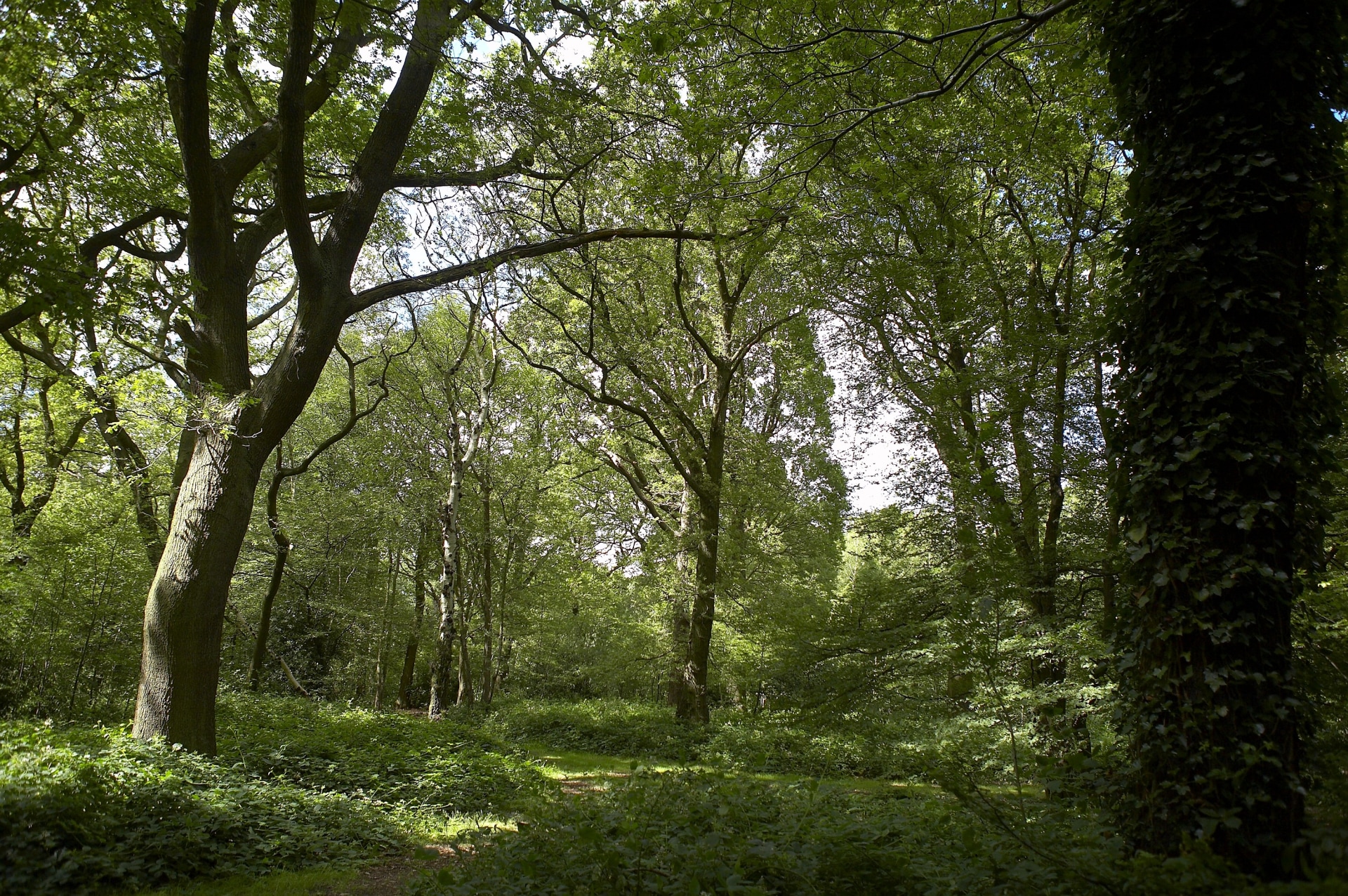 London's Best Parks And Green Spaces Blog