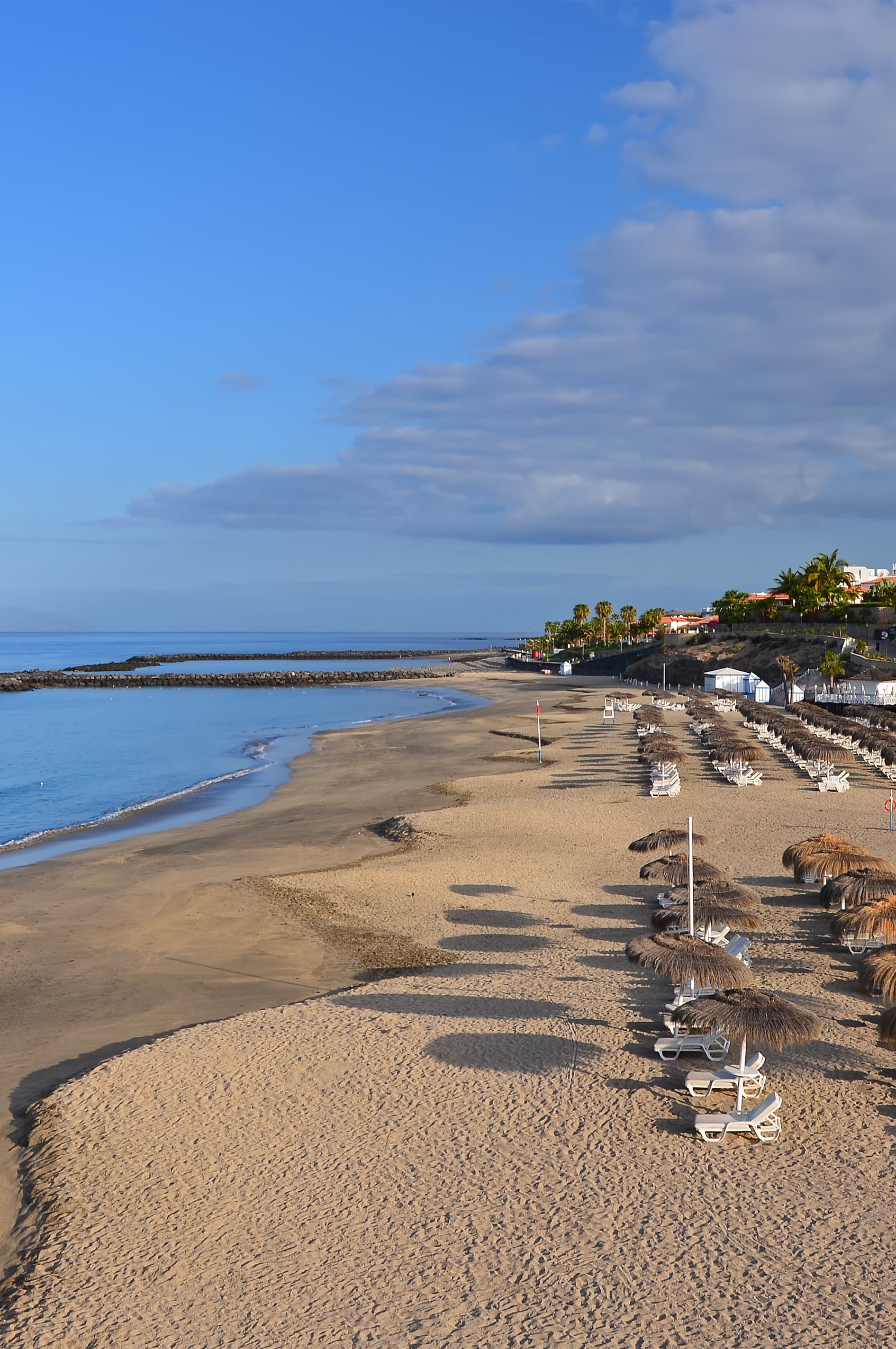 Tenerife Holidays 2023/2024 Cheap Holidays to Tenerife