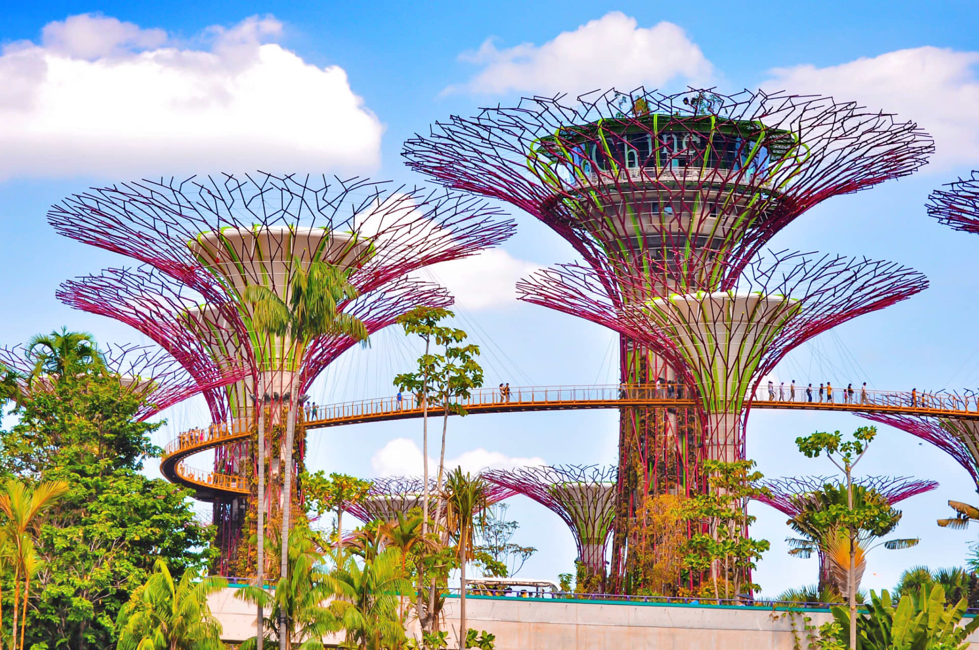 Einreisebestimmungen Singapur Infos & Sicherheitshinweise weg.de