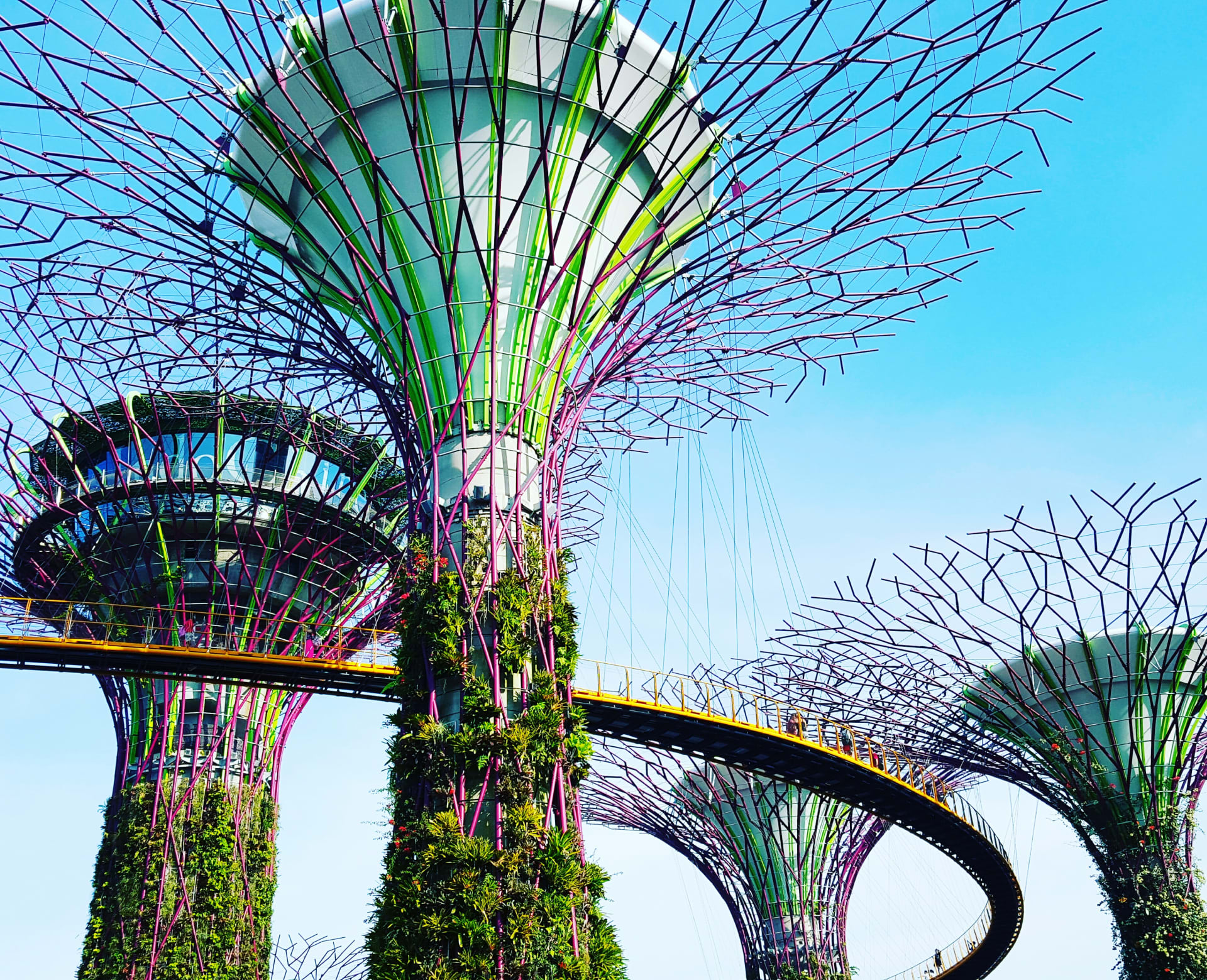 South East Asia Holidays 2024 Cheap Asia Holidays