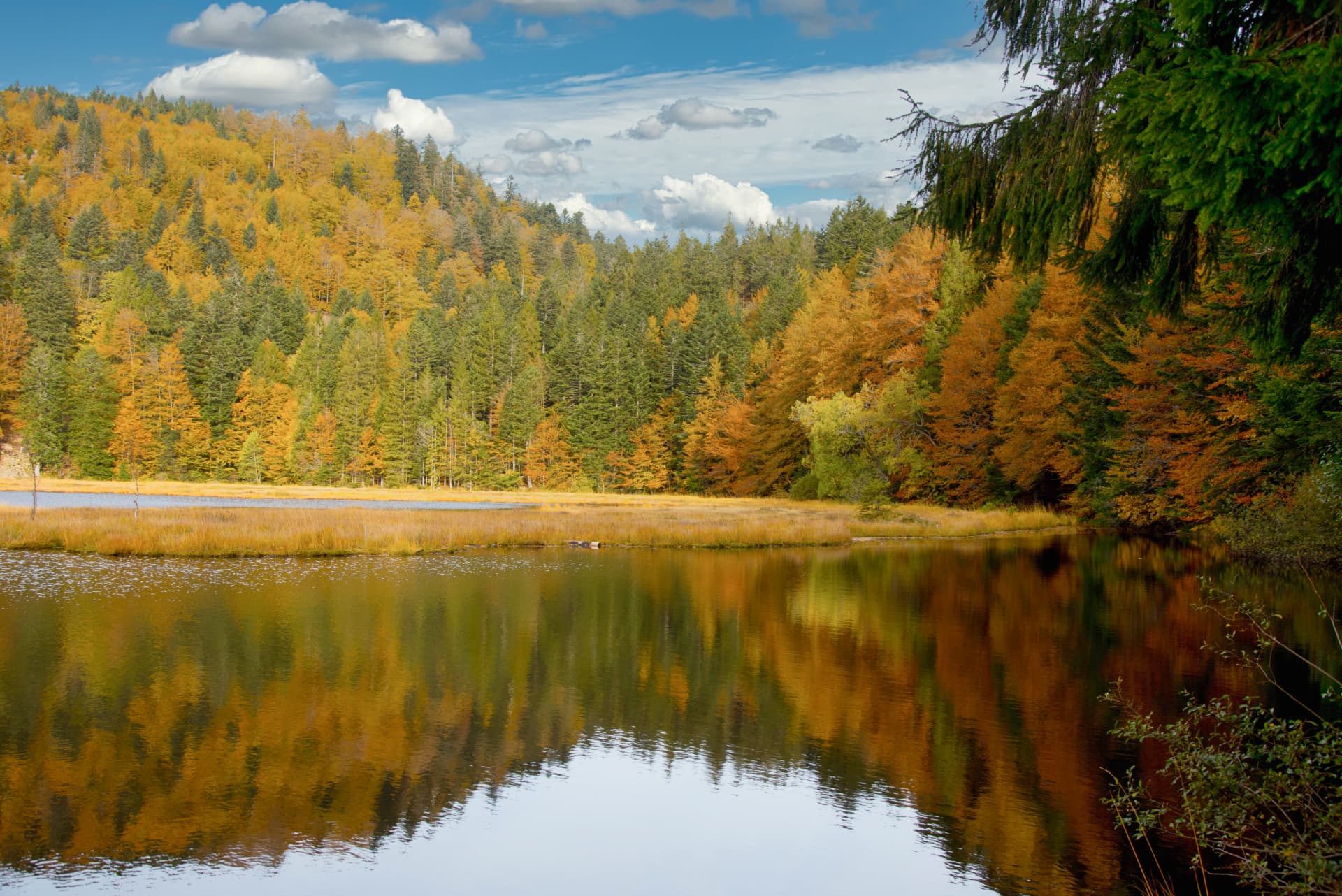 Things to do in the Vosges region