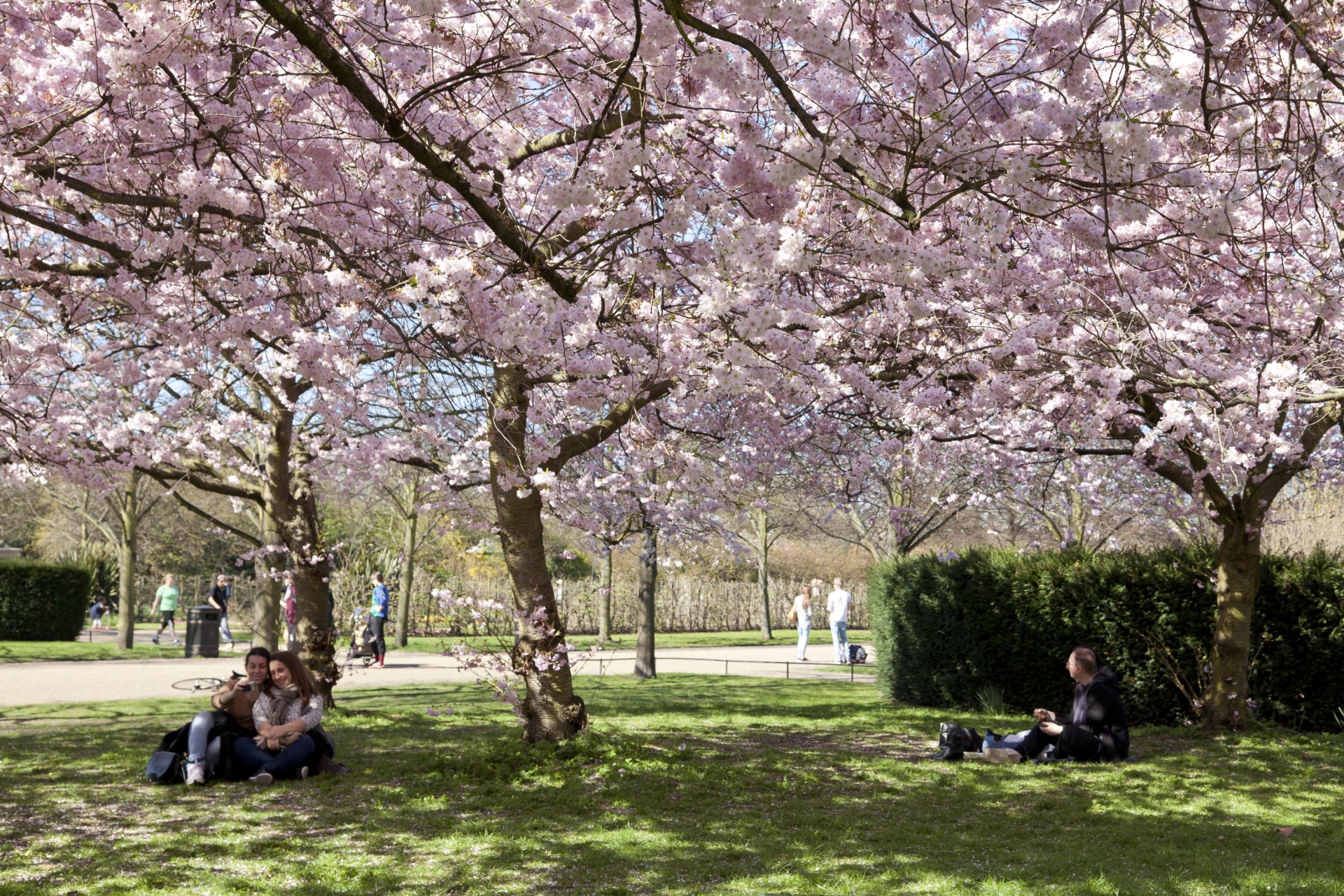 Street Park Spring