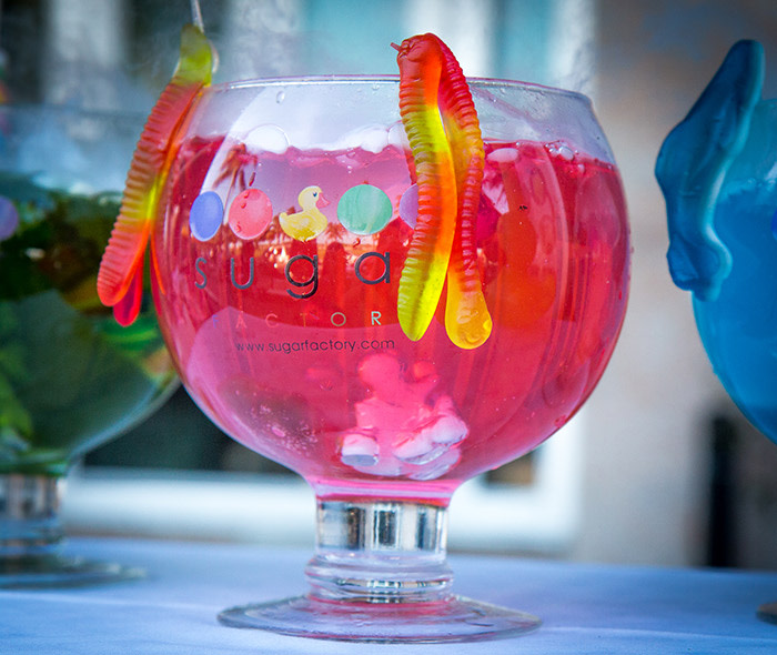 Ask the Locals The Top 10 Things To Do In Miami Blog