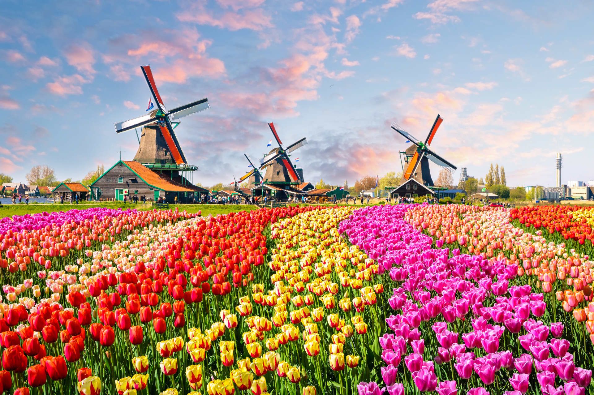 Die schönsten Reiseziele und Urlaubsorte in Holland | weg.de