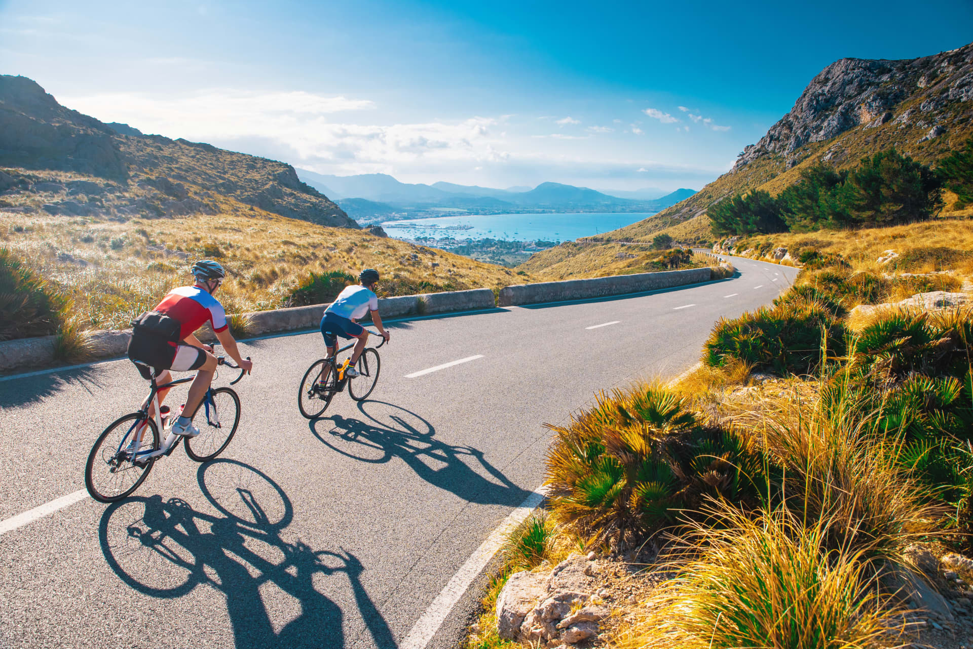 Cycling holidays abroad hot sale