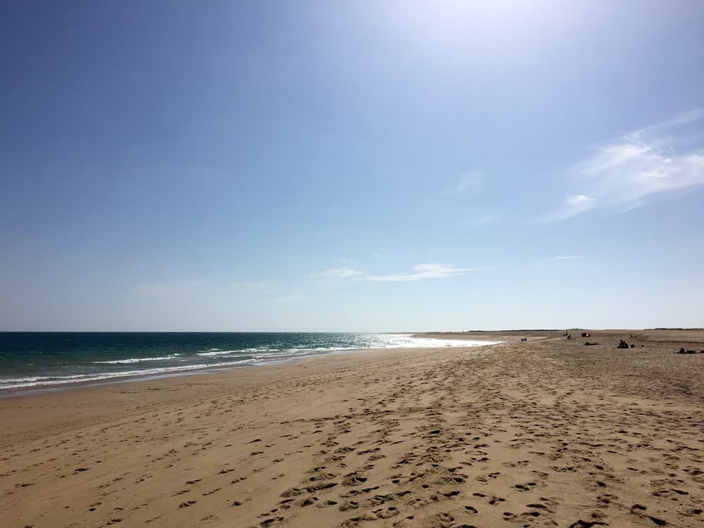 Les plages sans vetements top