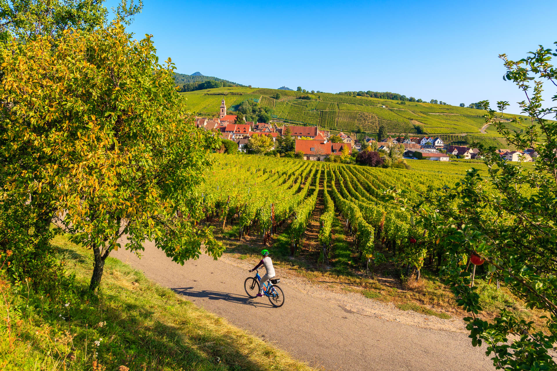 Cycling discover the world by bike lastminute