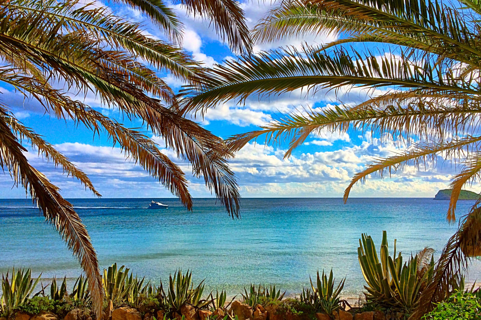 Las Salinas is one of the most beautiful beaches in Ibiza - Ibiza