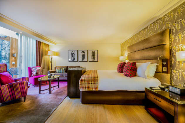 Pet Friendly Hotels 2024 Cheap Hotels lastminute