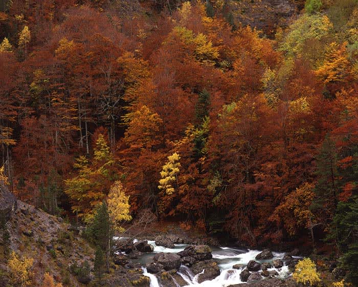 La Rioja en otoño, un bosque multicolor | Rumbo