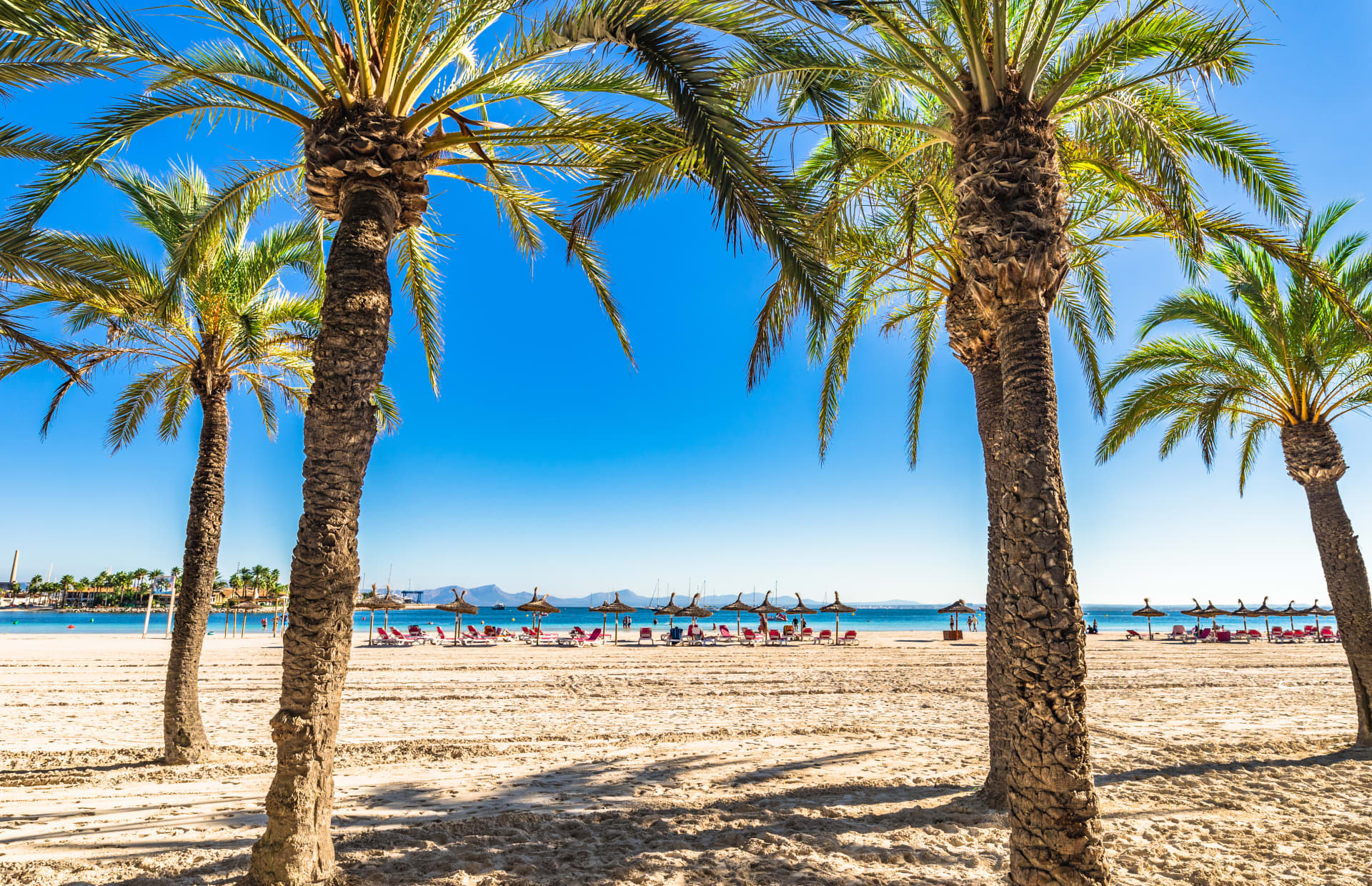 Majorca Holidays 2023/2024 Cheap Majorca Holidays