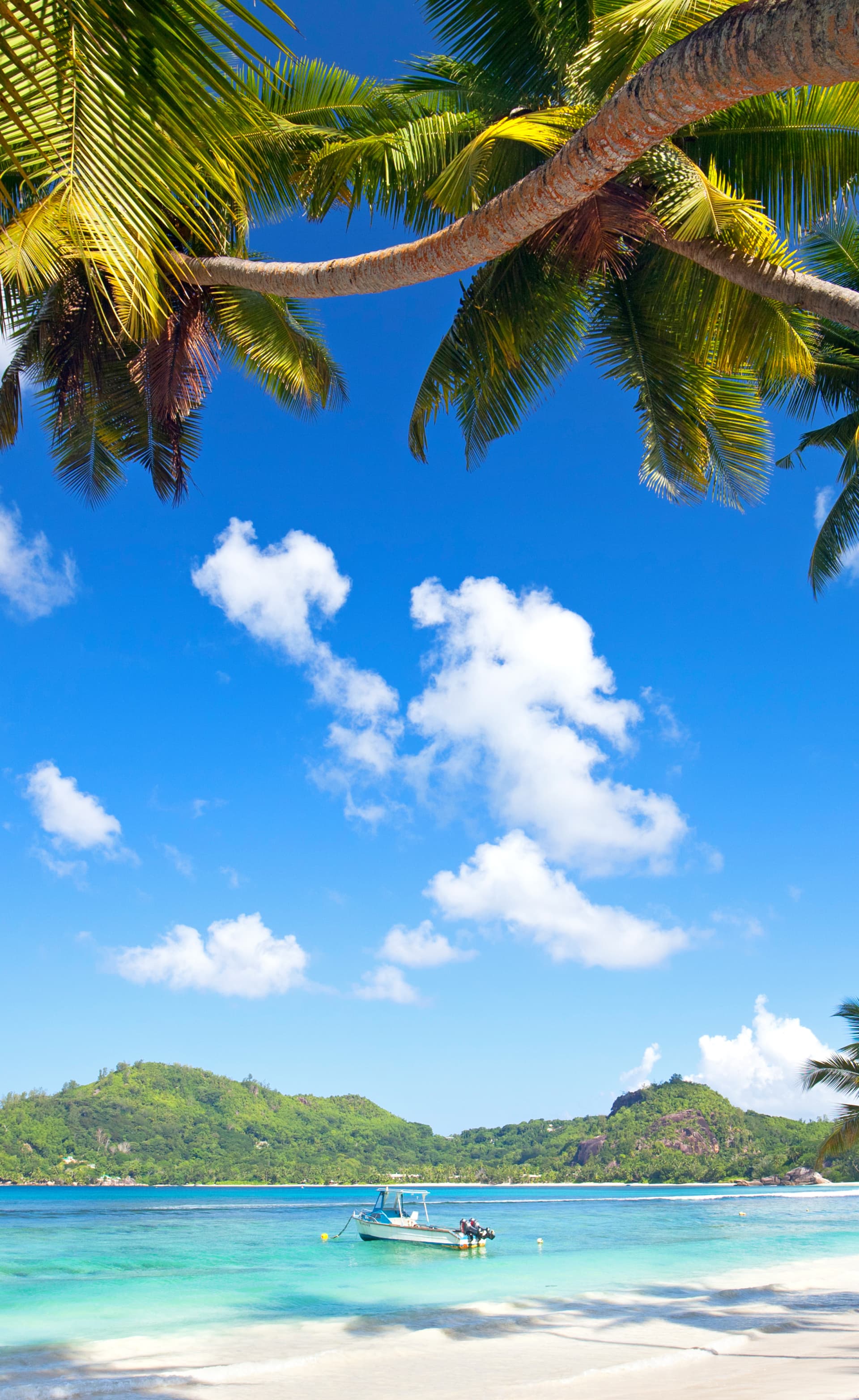 Seychelles Holidays 2023 | Cheap Seychelles Deals | lastminute.com
