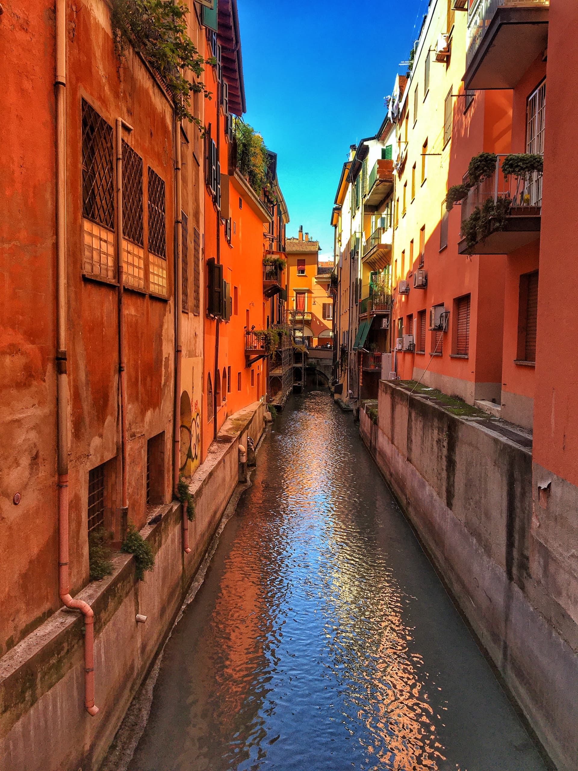 Cosa vedere a Bologna 10 luoghi imperdibili. Volagratis