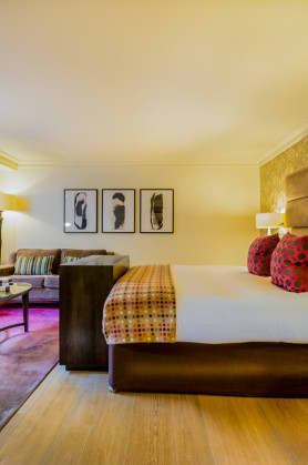 Last minute dog friendly hotels best sale