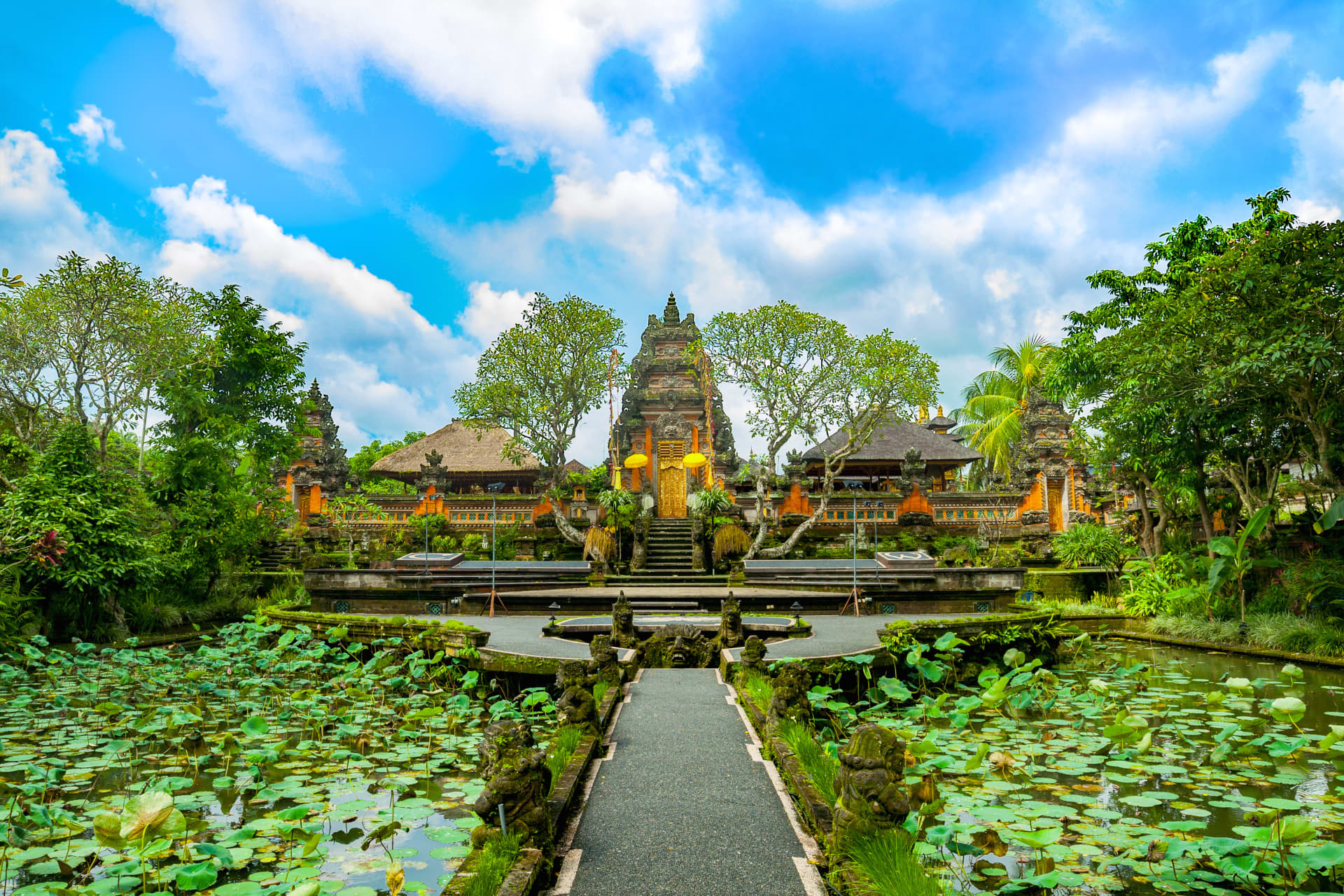 7 Best things to do in Ubud