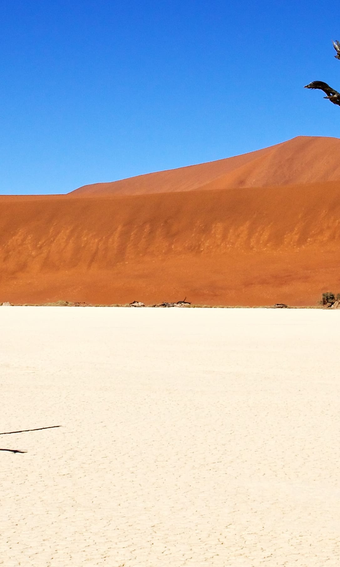 Beste Reisezeit für Namibia weg.de