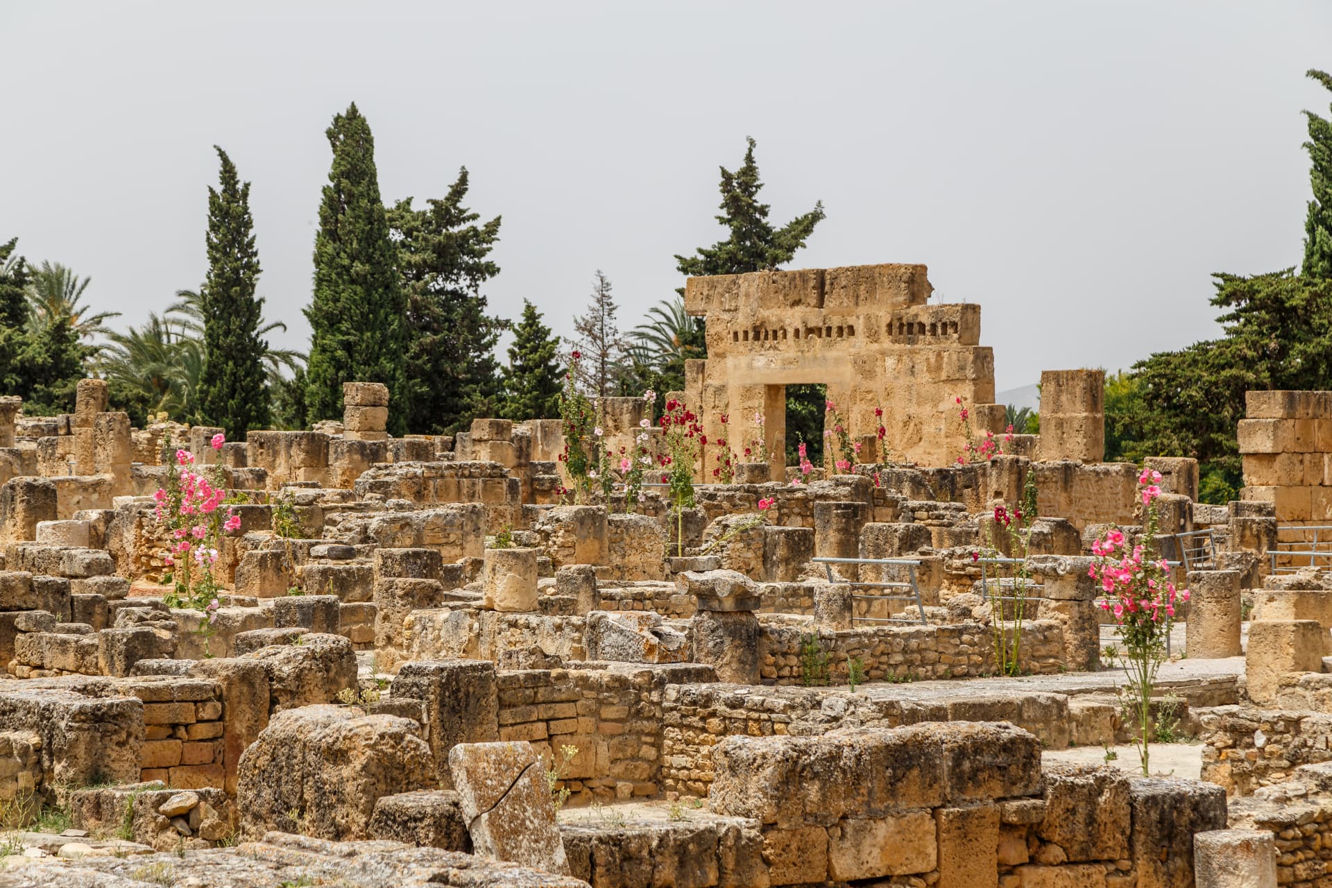 Les Plus Beaux Sites Archéologiques de Tunisie - Le Mag