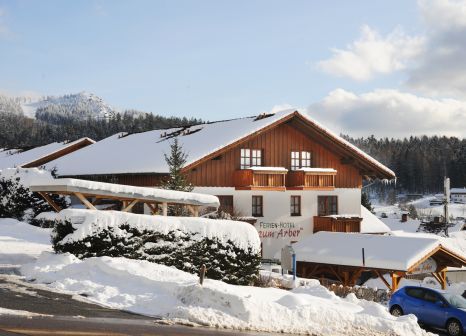 Hotel Zum Arber in Bayerischer & Oberpfälzer Wald - Bild von FTI Touristik