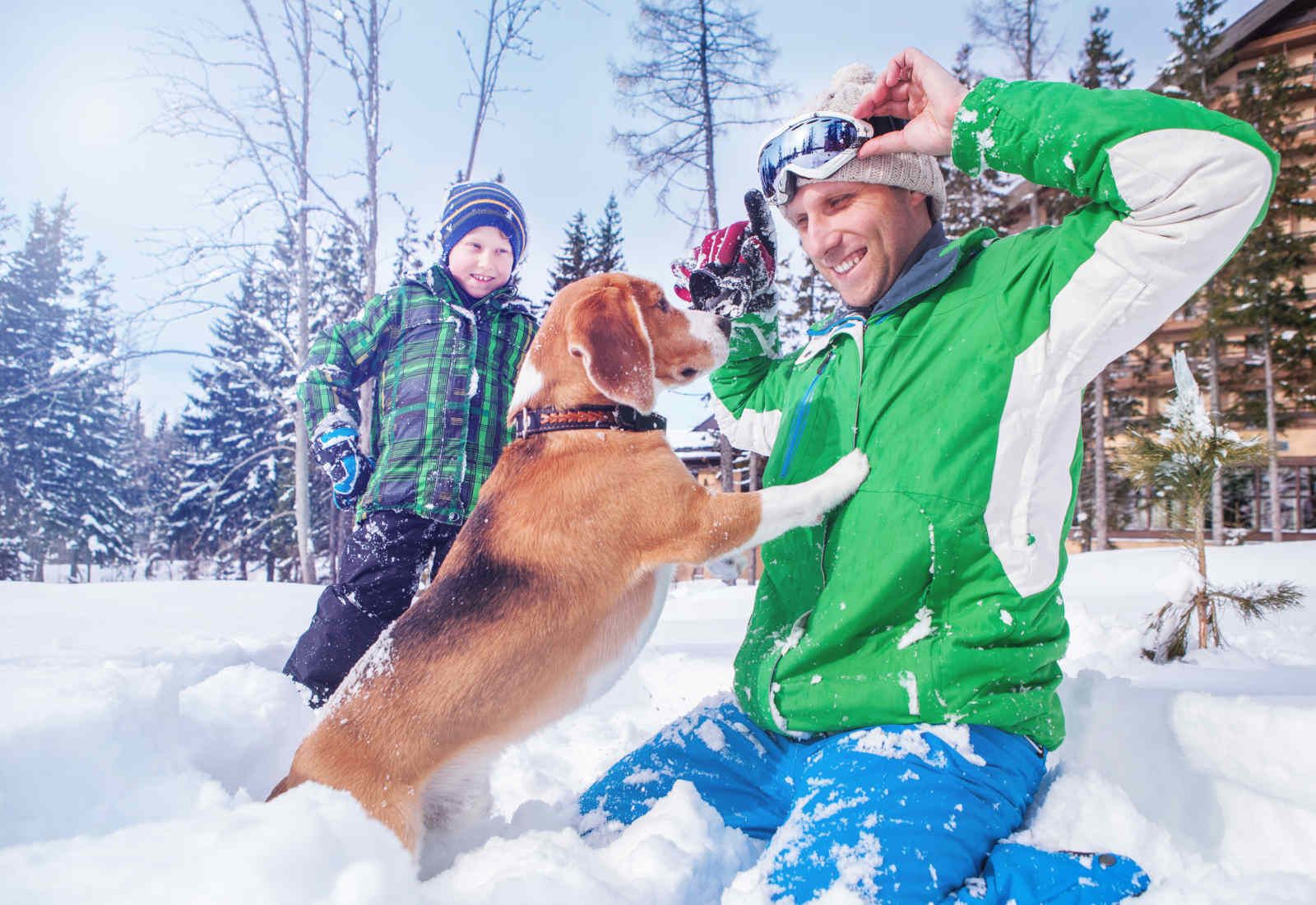 Skiurlaub mit Hund hundefreundliche Skihotels &amp; Unterkünfte weg.de