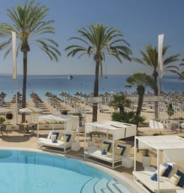 Sol House The Studio Calvia Beach - Adults Only (+16)