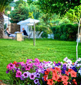 Dias by Azul Collection